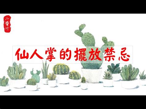 辦公室 仙人掌|辦公室仙人掌擺放指南：破解防小人迷思，打造職場好運 